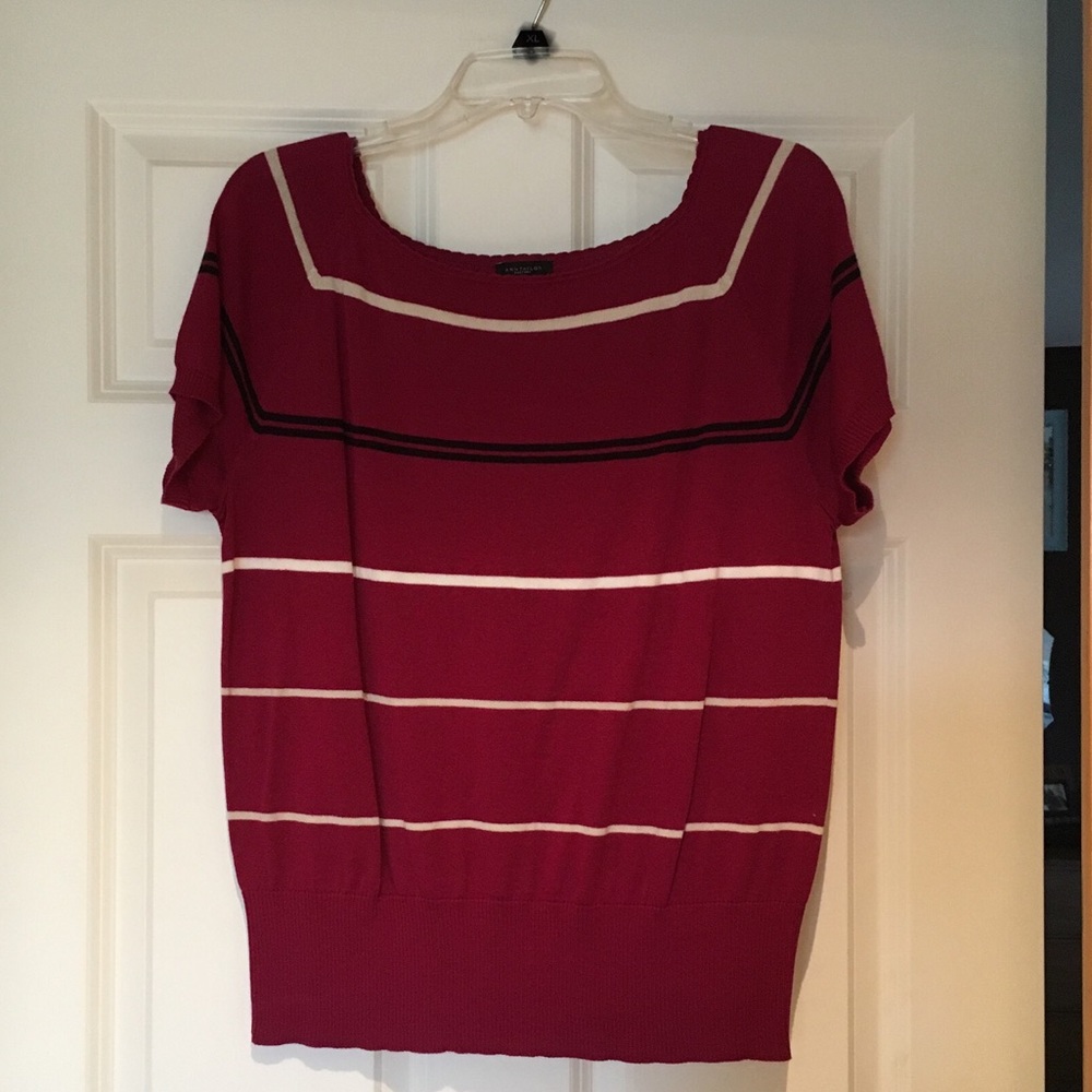 Ann Taylor Short Sleeve Knit Top